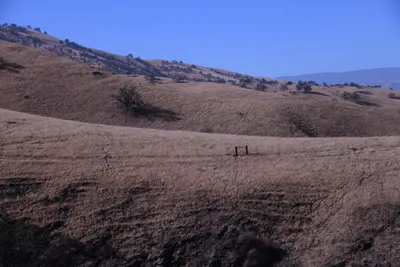 DSC_2171 (Large).JPG